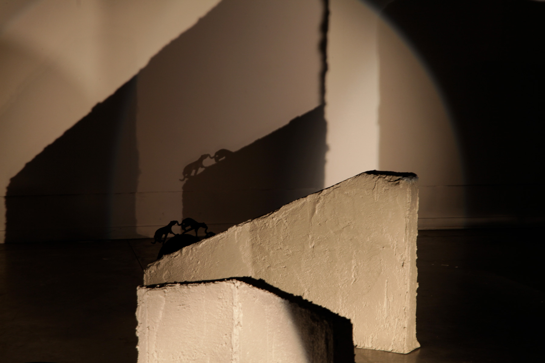 fabulations sur la locomotion